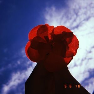 Meet your Posher, Leila